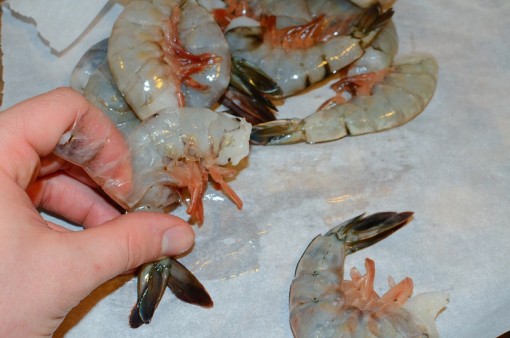 shrimp-6