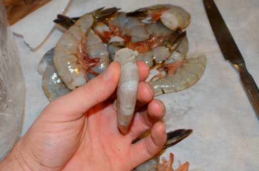 shrimp-7