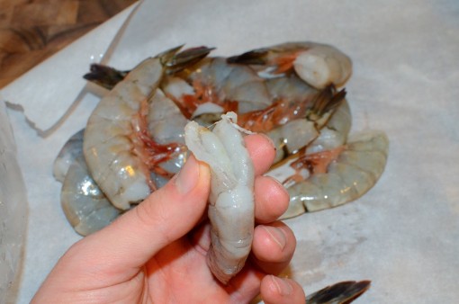 shrimp-8